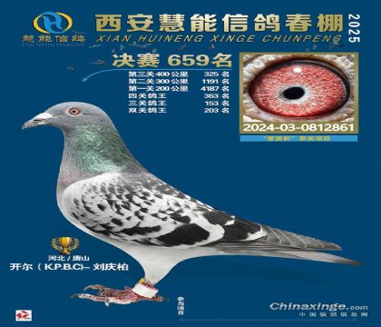 25�괺�������ܾ���659��