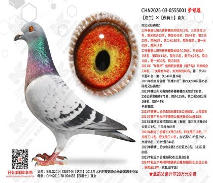 ������ҹ��ʿֱŮ