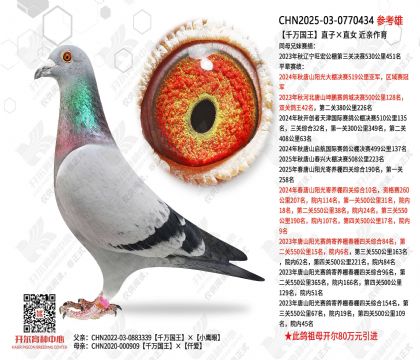 ǧ�����ֱ�ӡ�ֱŮ ��������