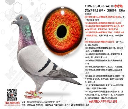 ��������ŷֱ�ӡ���������ֱ��Ů