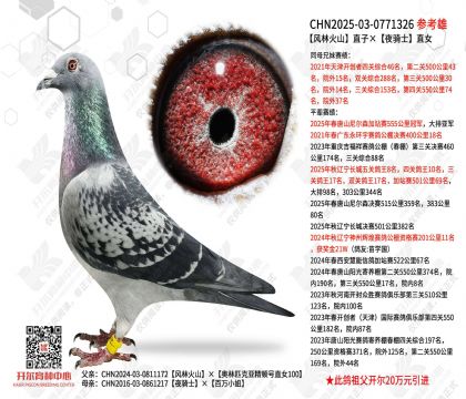 ���ֻ�ɽֱ�ӡ�ҹ��ʿֱŮ