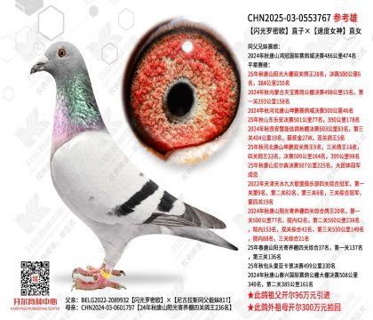 ��������ŷֱ�ӡ��ٶ�Ů��ֱŮ