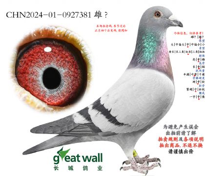 1.��ŵx��ʱ��.0927381