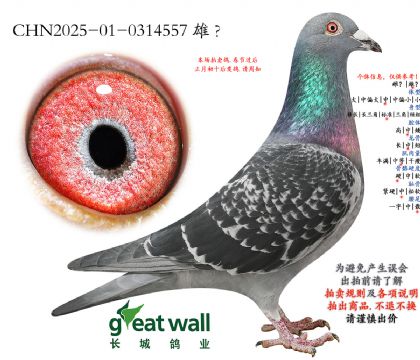 2.��̨�Ĺ��ۺ�55�Ӵ�.0314557