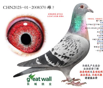 4.��ѻ��ض��������.2008370