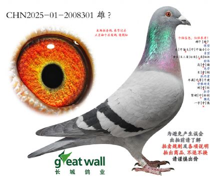 3.����Ѫϵ.2008301