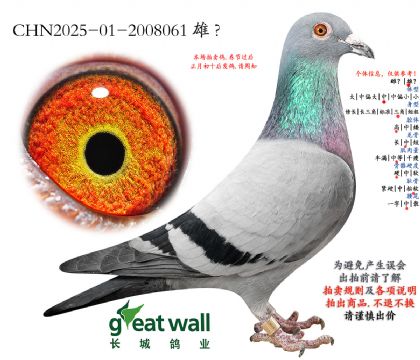 6.�Ǿ��ٺ��Ӵ�.2008061