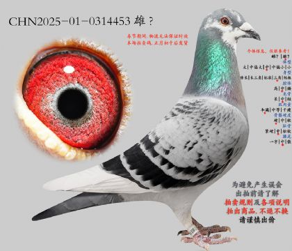 8.��ʢ����142��ƽ��.0314453