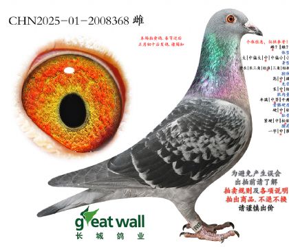 9.С��������ܽ���.2008368