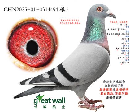 12.������Ѫϵ.0314494