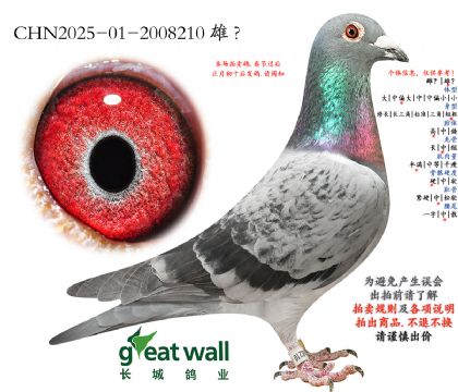 13.����������ھ��Ӵ�.2008210