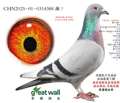 18.��ʱ��911��Ѫ.0314388