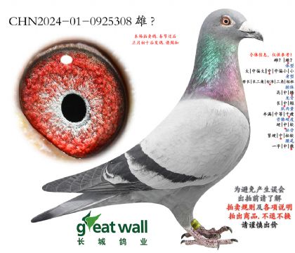 20.���ᳬ�����������.0925308