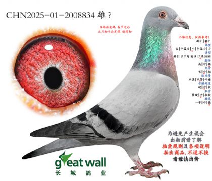 19.��ʱ�������ǽ�Ѫ���.2008834