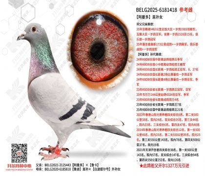 ������ֱ��Ů