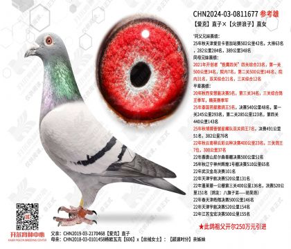 ����ֱ�ӡ���ƴ����ֱŮ