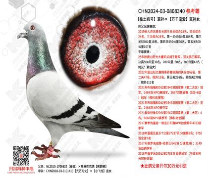 ��������ֱ�����ǧ�谮ֱ��Ů