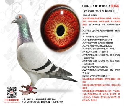 ��������ֱ��067�����پ���