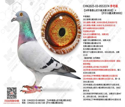 24�괺��ɽ���ɭ����180���������������388��