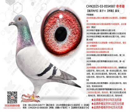 �������ֱ�ӡ�����ֱŮ