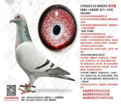 ��ҹ��ʿ������˹����ֱ�ӡ�����