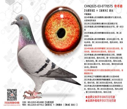 ������ŵ���ʼһ�ֱŮ