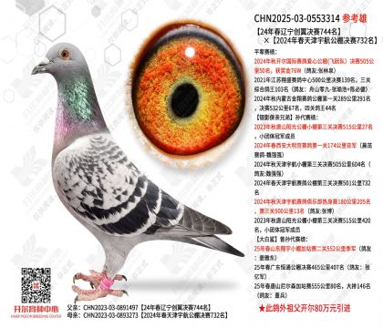 24�괺������������744����2024�괺��������