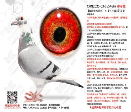 ��Ӱ���׵ܵܡ�ǧ�����ֱŮ