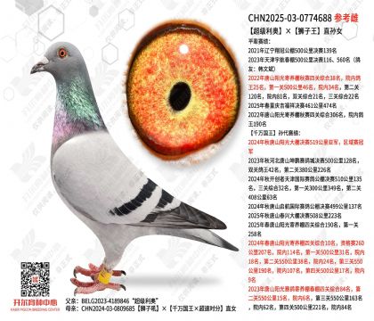 �������¡�ʨ����ֱ��Ů