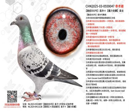 ·��593��ֱ���ħ������ֱŮ