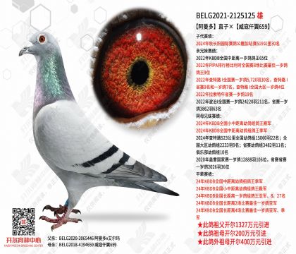 ������ֱ�ӡ�����Ǫ��659