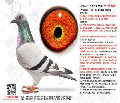 ��ʦ����ֱ�ӡ�Ǫ������Ů