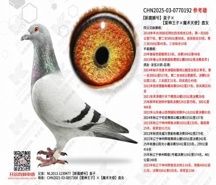 ���𺳺�ֱ�ӡ����������ӡ�ħ����ʹ��ֱŮ