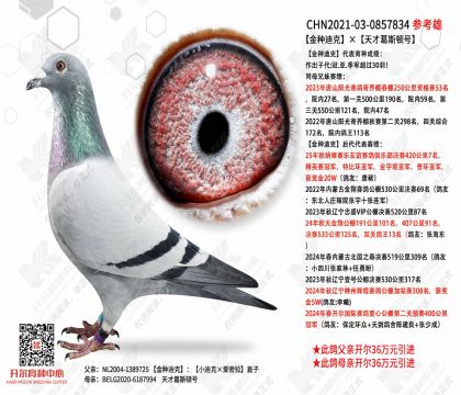 ���ֵϿˡ���Ÿ�˹�ٺ�