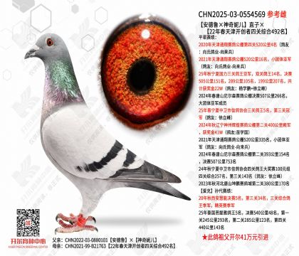 ������³�������ݶ���ֱ�ӡ�22�괺��򿪴����Ĺ��ۺ�492��