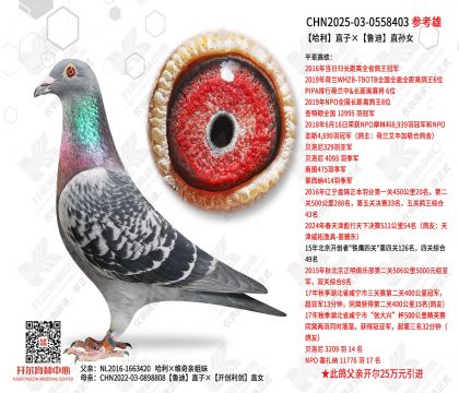 ����ֱ�ӡ�³��ֱ��Ů