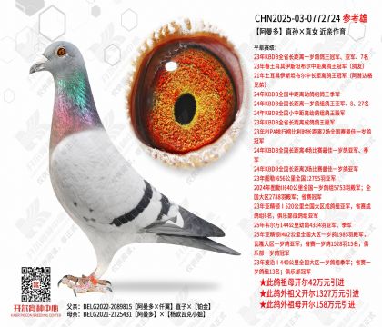 ������ֱ���ֱŮ  ��������