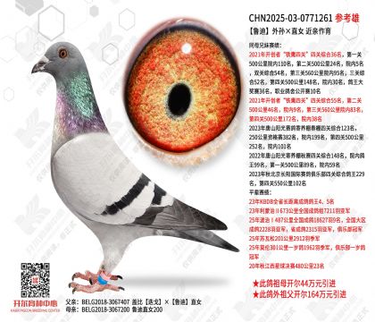 ³�������ֱŮ ��������