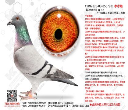 �������ֱ�ӡ������������ظ�������ֱŮ