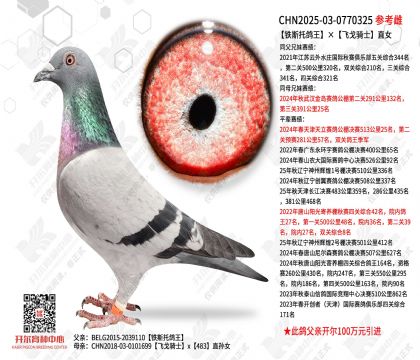 ��˹�и������ɸ���ʿֱŮ