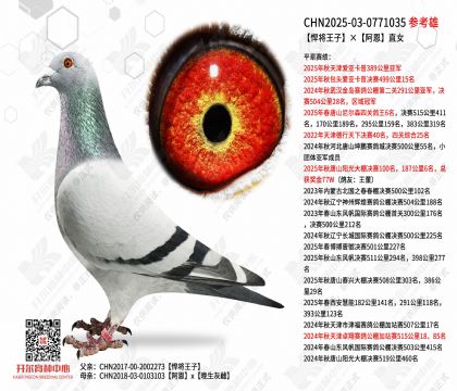 �������ӡ�����ֱŮ