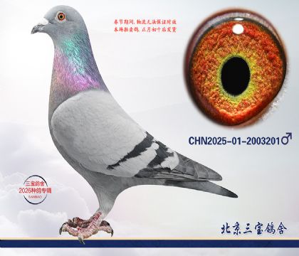 2.����x����.2003201