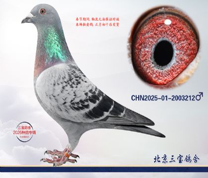 1.Ӣ��˹x����x����.2003212