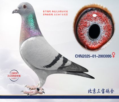 3.����x������x��ȱ��.2003095