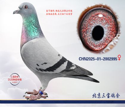 4.����x����.2002995