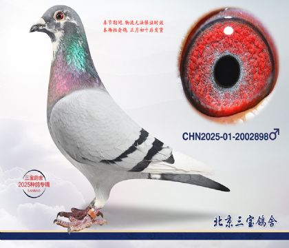 5.����x����Ѫϵc.2002898