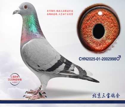 8.����С�ӽ�Ѫ.2002998