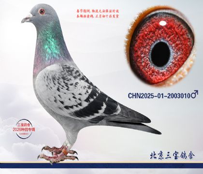 9.����x����.2003010