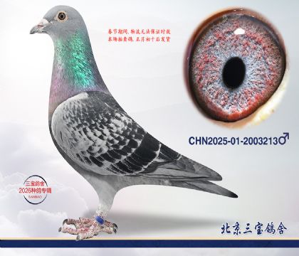 12.Ӣ��˹x����x����.2003213