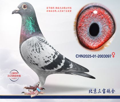 15.����x����Ѫϵc.2003097